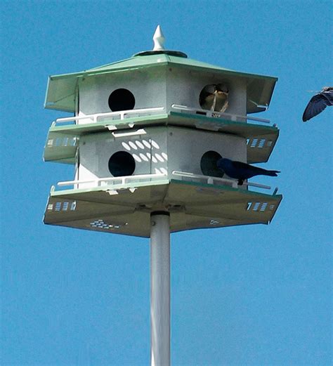 metal martin bird houses|pictures of purple martin houses.